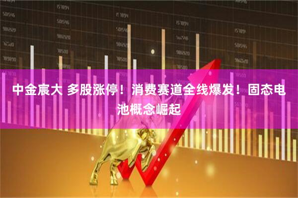 中金宸大 多股涨停！消费赛道全线爆发！固态电池概念崛起