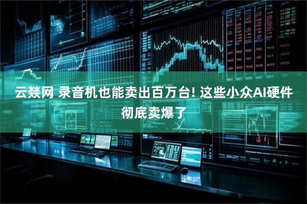 云燚网 录音机也能卖出百万台! 这些小众AI硬件彻底卖爆了