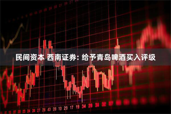 民间资本 西南证券: 给予青岛啤酒买入评级
