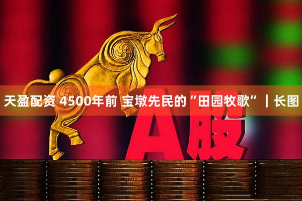 天盈配资 4500年前 宝墩先民的“田园牧歌”｜长图